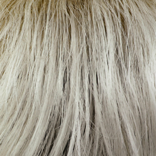 Platin blond black root (1001/1b+14)